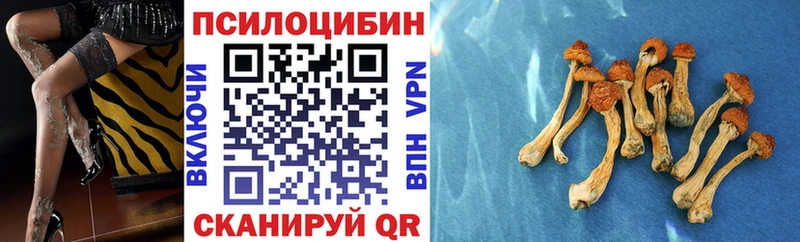 Псилоцибиновые грибы прущие грибы  наркотики  Нижневартовск 